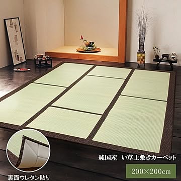 純国産 い草カーペット 『F蔵』 ブラウン（裏：ウレタン張り）
