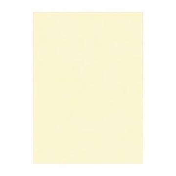 （まとめ） 文運堂 ニューカラーR 四ツ切 横392×縦542mm 4NCR-112 うすクリーム 100枚入 【×2セット】