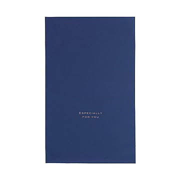 梨地バッグ ネイビー S 50枚入り 【×10セット】