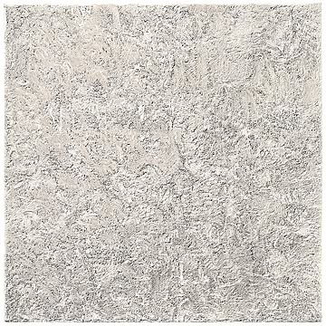 【BRID】SECTION COLOR RUG 200×200 セクション カラー ラグ