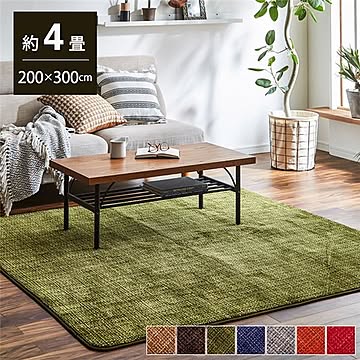 マイヤ 珊瑚マット ブラウン 洗える滑りにくい ラグ 約200×300cm