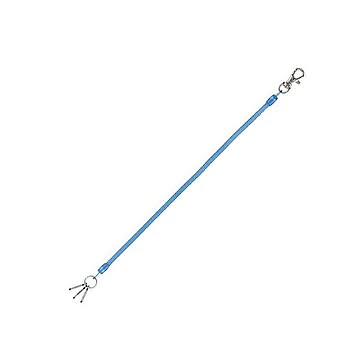 (まとめ) レイメイ藤井 コイルキーチェーン26~100cm ブルー GLK301A 1個  【×50セット】