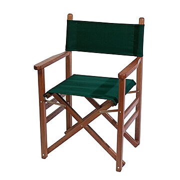 LEGNO／レグノ ディレクターズチェア グリーン 2脚セット コレクションリビング FIAM legno/chair