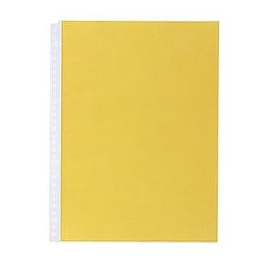 (まとめ) リヒトラブ ルポ・リーンフォース・クリヤーポケット（クリアポケット）（超厚口） A4タテ 4・30穴 N-2102 1パック（10枚） 【×10セット】