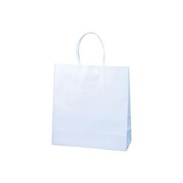 （まとめ買い）紙手提袋特小100枚290X260X100mm 【×2セット】