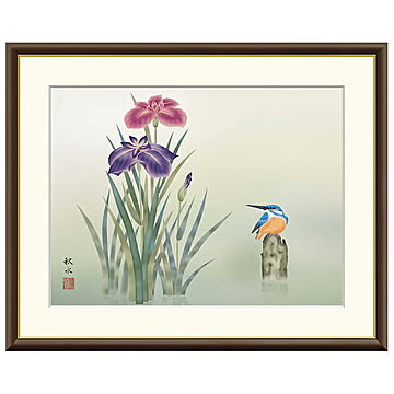 額絵 菖蒲 浮田秋水 42x34cm 三幸