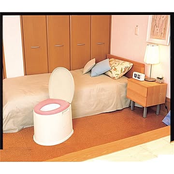 パナソニック 樹脂製ポータブルトイレ DX VALPTHBEDX