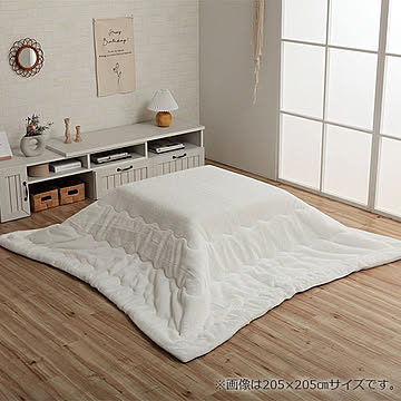 ラピアス PGY 205×245cm イケヒコ イケヒコ・コーポレーション 1181670130411
