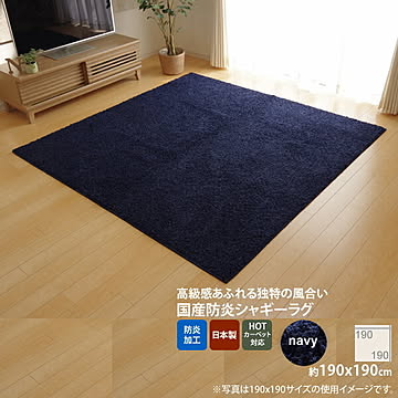 イケヒコ・コーポレーション ラグ シャンゼリゼ 4722119 190×190cm ネイビー