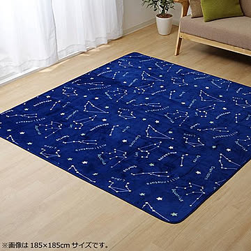 ラグ カーペット ホットカーペットカバー 『WSミリオン　RUG』ネイビー約200×250cm 9809983