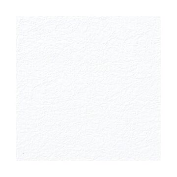 （まとめ） 和紙 鳥の子 エンボス NO.1 白 【×5セット】