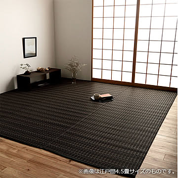イケヒコ・コーポレーション 洗えるポリプロピレンラグ ブラウン 2102212 本間6畳