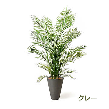 PRGR-1285 アレカヤシ GWプランター H160cm / GREENPARK プリマ