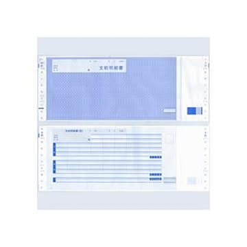 給与支給明細書（現金中入タイプ） 1000セット