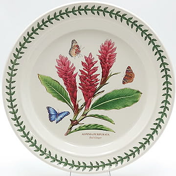 ポートメリオン　エキゾチックボタニックガーデン　プレート25cm　EG05052【red ginger　レッドジンジャー】　洋食器　イギリス　ボタニック