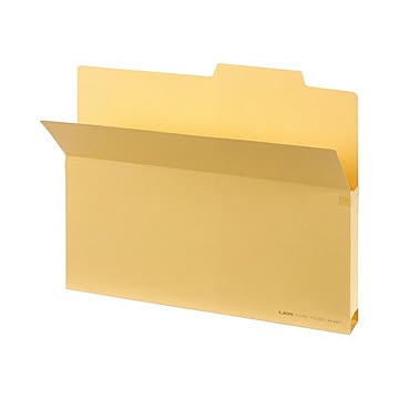（まとめ）ライオン事務器 持出しフォルダー B4クリーム B4-APF 1冊 【×30セット】