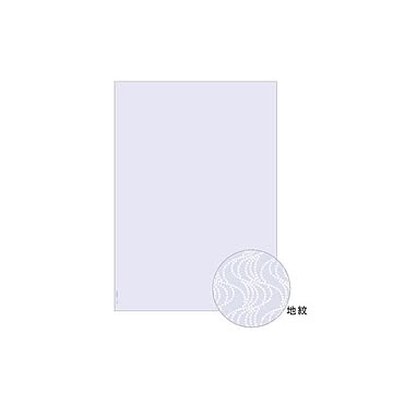 （まとめ） ヒサゴ コピー偽造予防用紙 BP2060 110枚入 【×2セット】