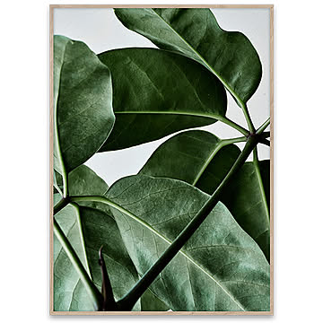 ポスター Paper Collective 30x40 Green home 01 #09118