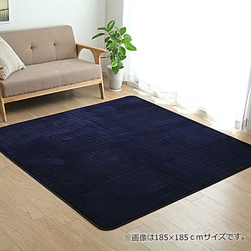 イケヒコ・コーポレーション レイヤー 200×240cm ネイビー