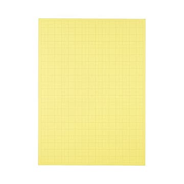 (まとめ) TANOSEE 模造紙（プルタイプ） 本体 788×1085mm 50mm方眼 クリーム 1ケース（20枚） 【×10セット】