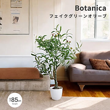 Botanica（ボタニカ） 光触媒 フェイクグリーン オリーブ m13484