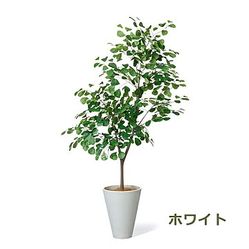 GREENPARK トライアンギュラリス GWプランター H160cm PRGR-1534 プリマ