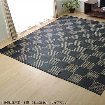 イケヒコ・コーポレーション 洗えるポリプロピレンラグ 本間3畳 ブラック