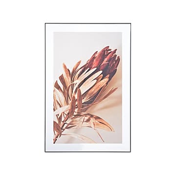 東谷 Botanical アートパネル ブラック 80cm×120cm×4cm m12536