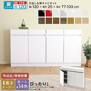 【扉シリーズ】セミオーダー収納ぴったりくん キャビネット 幅120cm×奥行25cm 完成品 開梱設置 日本製 引き出し付き 扉 扉キャビネット ぴったり 収納 収納 キッチン リビング