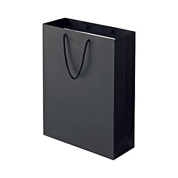 (まとめ) TANOSEE マットコート手提げ袋 LL ヨコ380×タテ500×マチ幅150mm ブラック 1パック（10枚） 【×5セット】