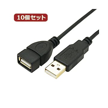 変換名人 10個セット 極細USBケーブルAオス-Aメス 1m USB2A-AB／CA100X10