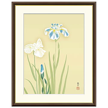 額絵 花あやめ 菱田春草 61x49.5cm 三幸