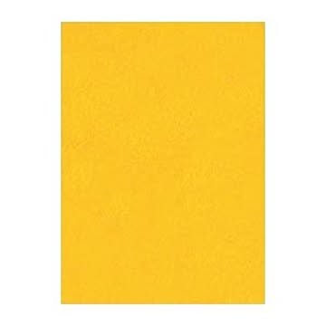 （まとめ） 文運堂 ニューカラーR 四ツ切 横392×縦542mm 4NCR-237 みかん 100枚入 【×2セット】