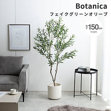 Botanica（ボタニカ） 光触媒 フェイクグリーン オリーブ m13496
