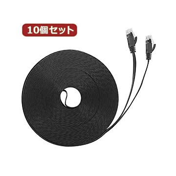 10個セット LANケーブル フラット CAT6 20m 黒 AS-CAPC040X10