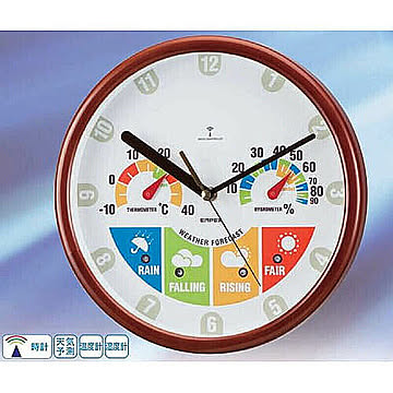 EMPEX ウェザーパル電波時計 温度計 湿度計 掛用 BW-875 管理No. 4961386087503