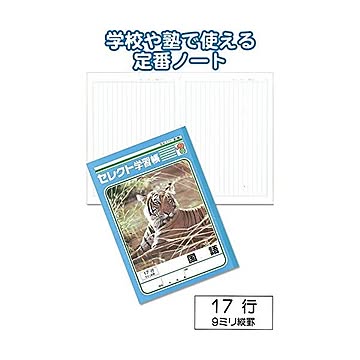 学習帳K-16国語 縦罫17行 10個セット 31-365