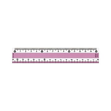 （まとめ） カラー直線定規 CPK-15-P ピンク 1本入 【×20セット】