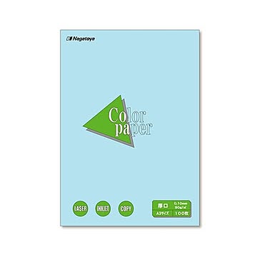(まとめ) 長門屋商店 Color Paper A3 厚口 空 ナ-1312 1冊（100枚）  【×10セット】