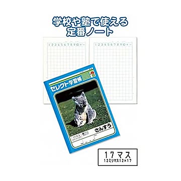 学習帳K-2さんすう17マス 10個セット 31-373