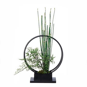 CUPBON モミジ 寄せ植え リングベースS 盆栽 フェイクグリーン PRGR-1231 プリマ