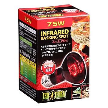 ジェックス ヒートグロー赤外線照射ランプ 75W PT2142 ペット用品