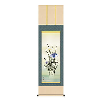 掛け軸 菖蒲 北山歩生 44.5x164cm 三幸