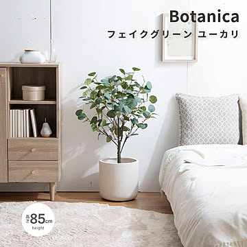 Botanica（ボタニカ） 光触媒 フェイクグリーン ユーカリ m13486