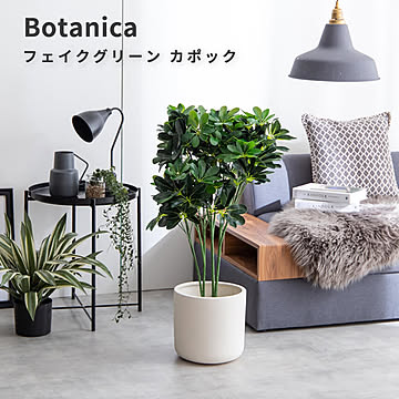 Botanica（ボタニカ） 光触媒 フェイクグリーン カポック m13510