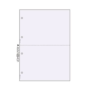 まとめヒサゴ マルチプリンタ帳票 A4コピー判別 2面 4穴 BP2102 1冊100枚 ×3セット