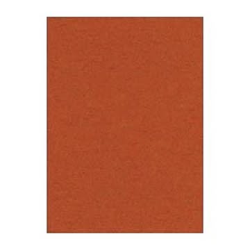 （まとめ） 文運堂 ニューカラーR 全判 横788×縦1091mm 10-236 ちゃいろ 10枚入 【×2セット】