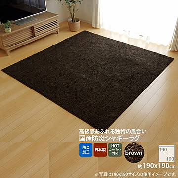 イケヒコ・コーポレーション ラグ シャンゼリゼ ブラウン 190×190cm 4722119