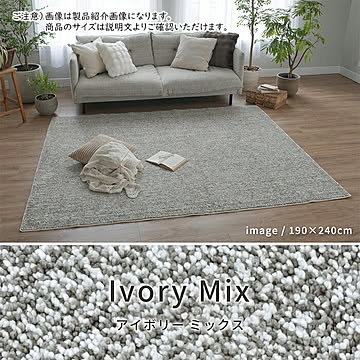 ラグ 洗える 抗菌 防臭 防ダニ NP-06  190x190cm エラーレ