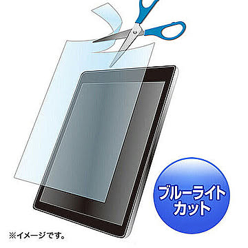 サンワサプライ 液晶保護指紋防止光沢フィルム　LCD-125WBCF 管理No. 4969887891711